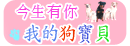 今生有你--我的狗寶貝