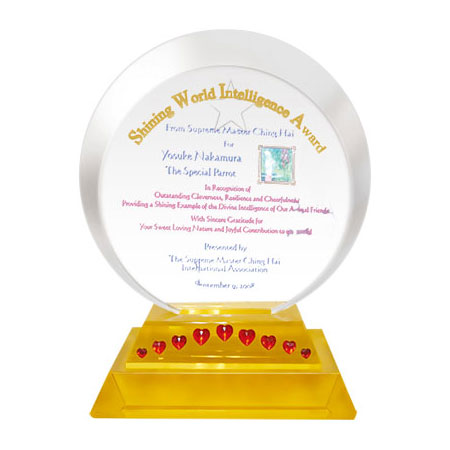 Shining World Intelligence Award