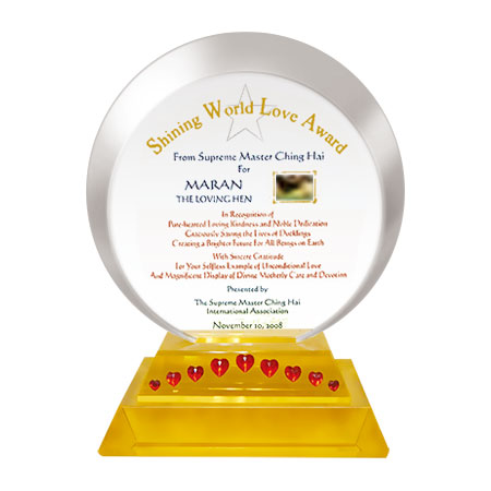 Shining World Love Award