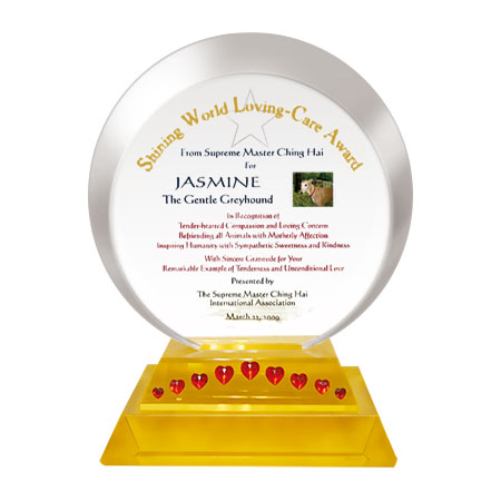 Shining World Loving-Care Award / 
Shining World Caring Award 