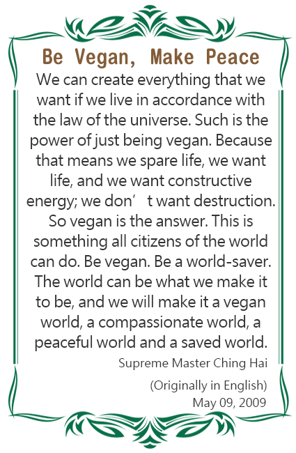 BE VEGAN, MAKE PEACE