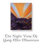 The Night View Of Yang Min Mountain