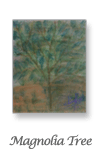 Magnolia Tree