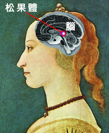 科学家重新探索第三眼